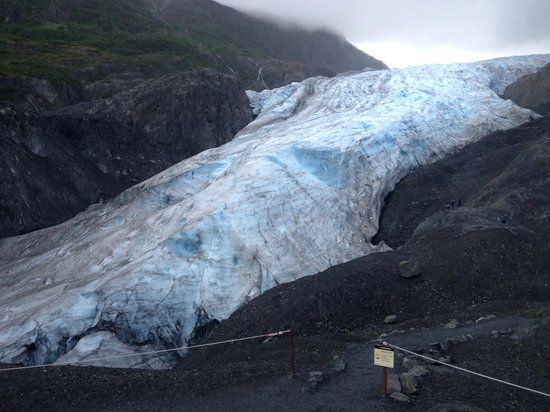 Exit Glacier
